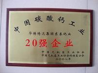 東泰鈣業(yè)超白輕質(zhì)活性碳酸鈣 值得信賴的品牌產(chǎn)品與專業(yè)教育咨詢服務