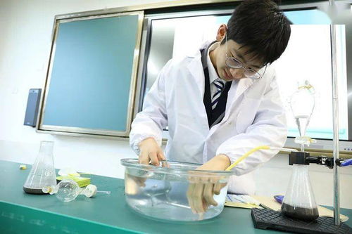 啟外教育 中高考后的新起點(diǎn)，通往世界名校的橋梁