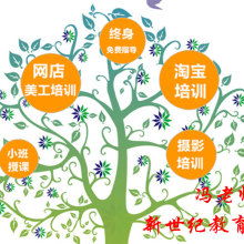 東莞市茶山新世紀(jì)教育咨詢部 專業(yè)教育咨詢服務(wù)，助力學(xué)生全面發(fā)展